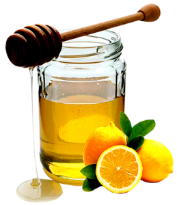 kisspng-lemon-chicken-mandarin-orange-clementine-fruit-natural-honey-5a893f0b8c8573.6616572115189440115756